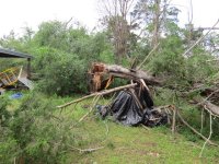 storm backhoe.jpg