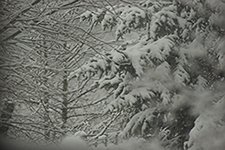789497-12_15_05snow.jpg