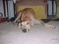 677180-rocky.jpg