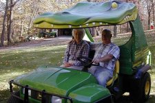 790638-gator1.JPG