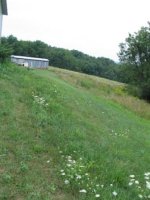 717068-IMG_5252.jpg