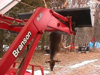 791684-deer-4.jpg