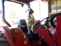 1-23-16 Tucker Wants to Drive the Tractor.jpg