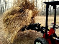 Grass 086.jpg