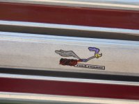Road Runner 2.JPG