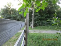 IMG_0146.JPG