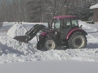 792589-12205 side view swamp snow.jpg