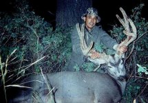 839539-MULE DEER.JPG