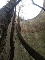 SiloTree.jpg
