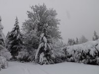 DSCF2953.JPG