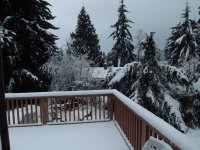 DSCF2982.JPG
