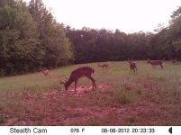 Deer2012 (173).JPG