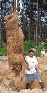 840353-hogzilla.jpg