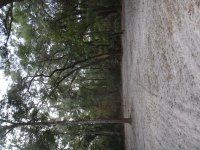 DSC00557.JPG
