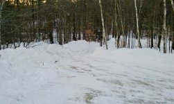 20170214_065447 (1280x765).jpg