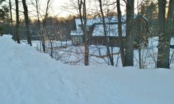 20170214_065440 (1280x768).jpg