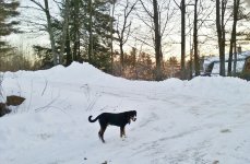 20170214_065322 (1280x839).jpg