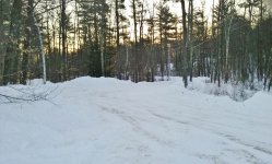 20170214_065301 (1280x773).jpg