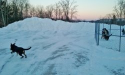 20170214_064939 (1280x768).jpg