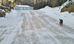 20170214_064933 (1280x768).jpg