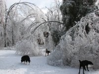 IMG_1443.JPG