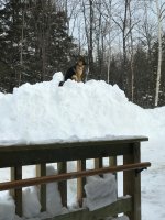 snow11.jpg