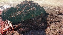 composting 2.jpg