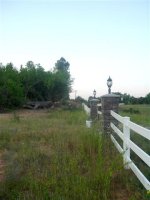 685381-Trees 040 (Small).jpg