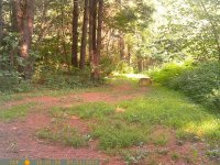 PTDC2971.JPG