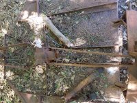 20170507_152129.jpg