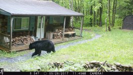 IMG_0018.JPG