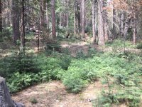 IMG_1532.JPG