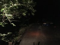 Rear Halogen.JPG