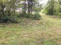 IMG_3995.JPG