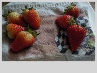 DSCN0434.JPG