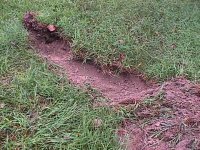 722733-MVC-005F---small.jpg