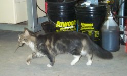 803244-Abby.jpg