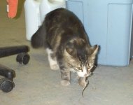 803569-Abbym.jpg