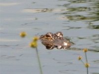 686568-RSCN0035 (Small).JPG