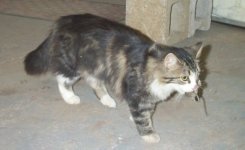 803572-Abbyn.jpg