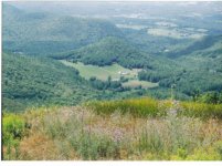 845432-Lookin Down.jpg