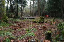 766207-housebarnsite.jpg