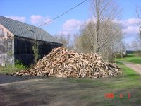 644601-DSC02114.JPG