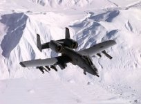 686844-warthog.jpg