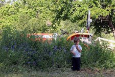 648493-Grass-height.jpg