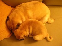 644045-spooning.JPG