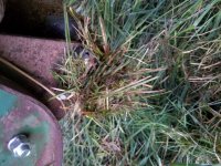 Roller bearing-2  8-12-17.jpg