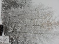 DSCN4055.JPG