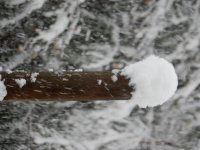 DSCN4058.JPG