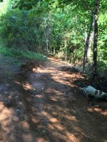 IMG_0382.jpg